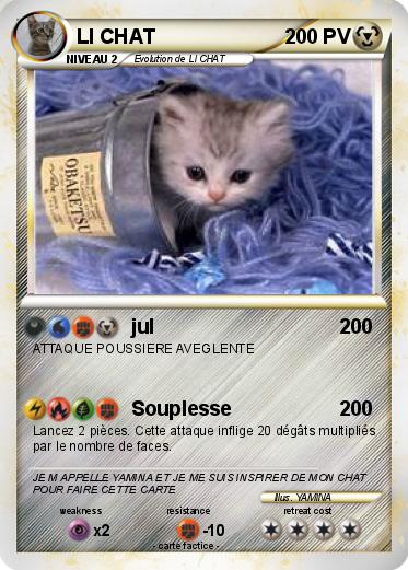 Pokemon LI CHAT