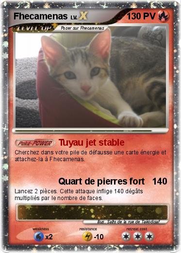 Pokemon Fhecamenas