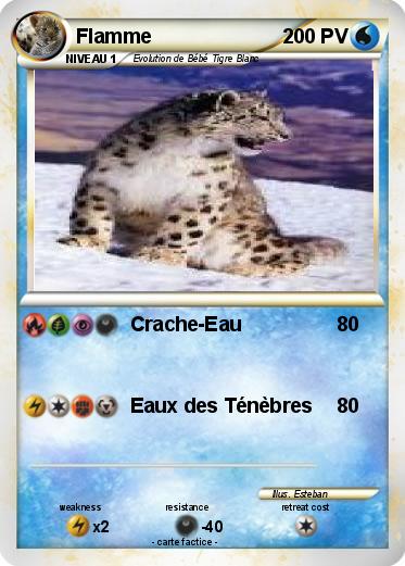Pokemon Flamme