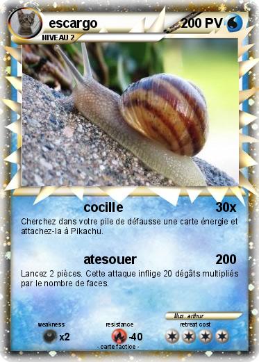 Pokemon escargo
