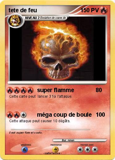 Pokemon tete de feu