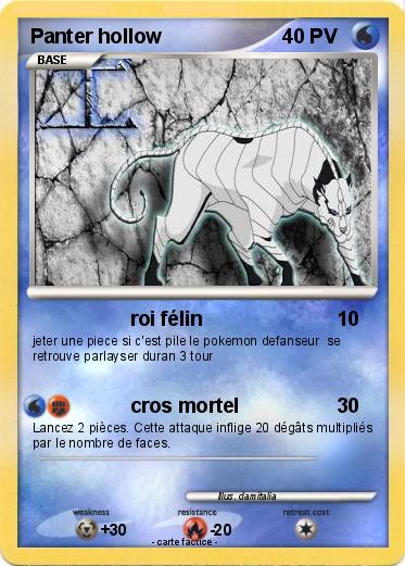 Pokemon Panter hollow