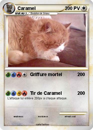 Pokemon Caramel