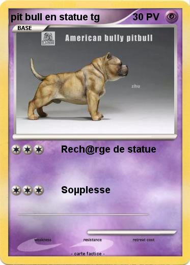 Pokemon pit bull en statue tg