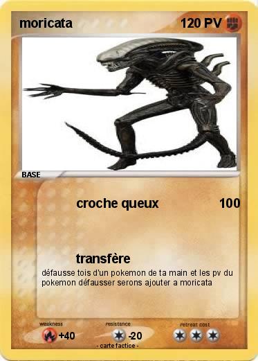 Pokemon moricata