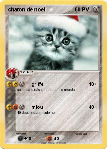 Pokemon chaton de noel