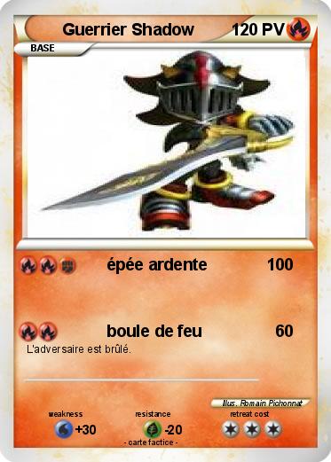 Pokemon Guerrier Shadow