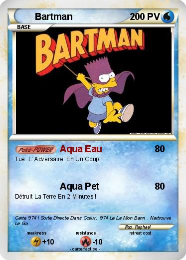 Pokemon Bartman