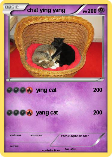 Pokemon chat ying yang