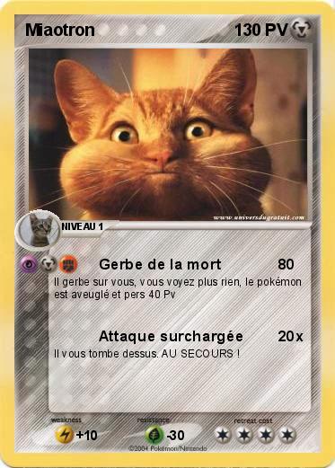Pokemon Miaotron 