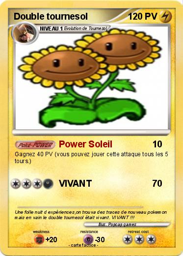 Pokemon Double tournesol