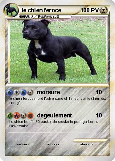 Pokemon le chien feroce
