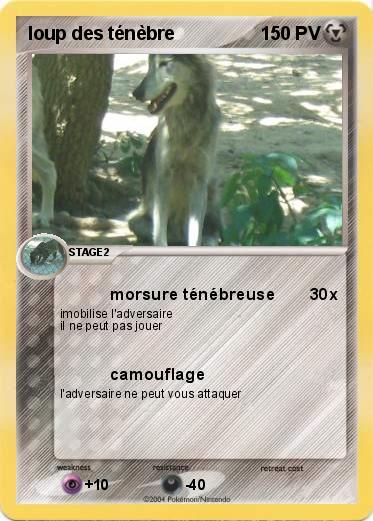 Pokemon loup des ténèbre