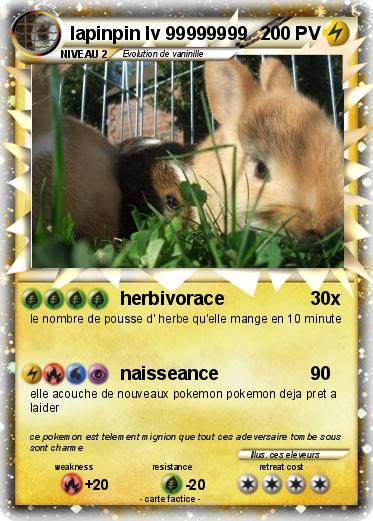 Pokemon lapinpin lv 99999999