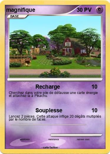 Pokemon magnifique