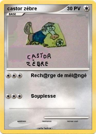 Pokemon castor zèbre