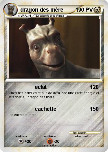 Pokemon dragon des mére