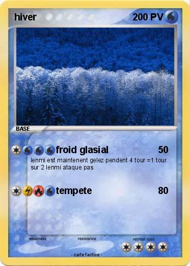 Pokemon hiver