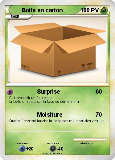 Pokemon Boite en carton