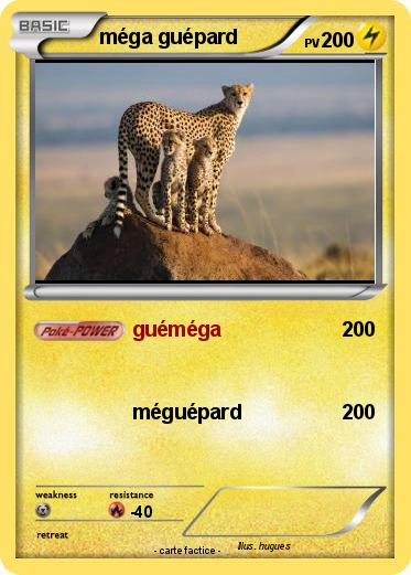Pokemon méga guépard