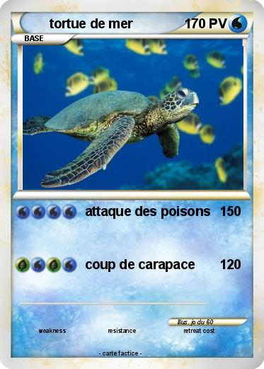 Pokemon tortue de mer