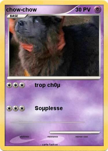 Pokemon chow-chow