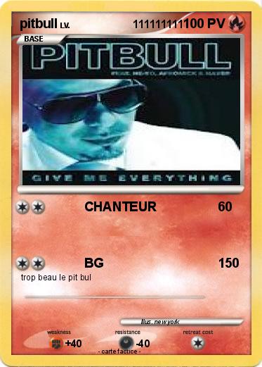 Pokemon pitbull