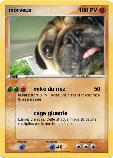 Pokemon morveux