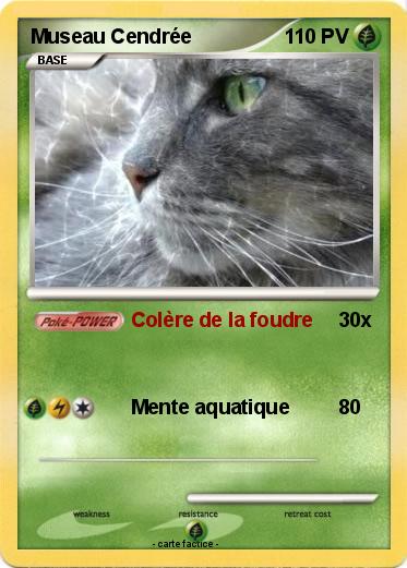Pokemon Museau Cendrée