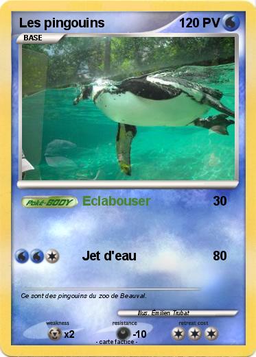 Pokemon Les pingouins