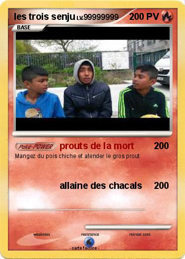 Pokemon les trois senju