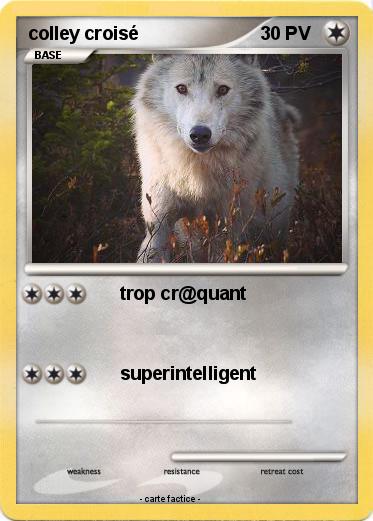 Pokemon colley croisé