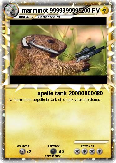 Pokemon marmmot 9999999999