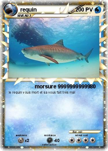 Pokemon requin
