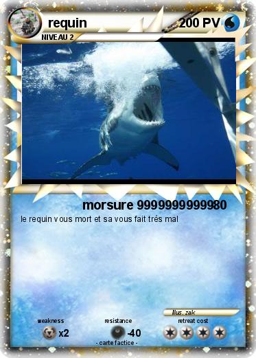 Pokemon requin