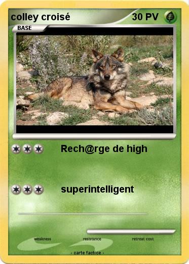 Pokemon colley croisé