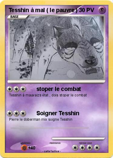 Pokemon Tesshin à mal ( le pauvre )