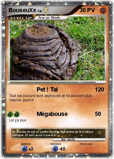 Pokemon BouseuXe
