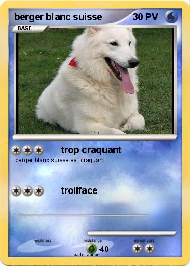 Pokemon berger blanc suisse