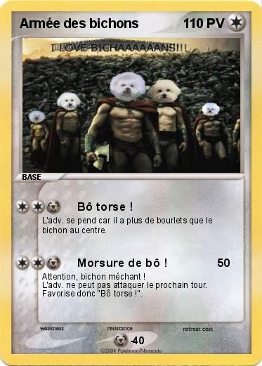 Pokemon Armée des bichons