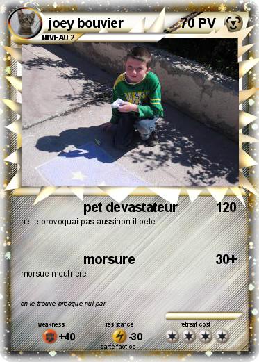 Pokemon joey bouvier