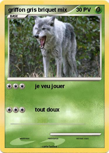 Pokemon griffon gris briquet mix