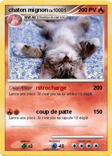 Pokemon chaton mignon