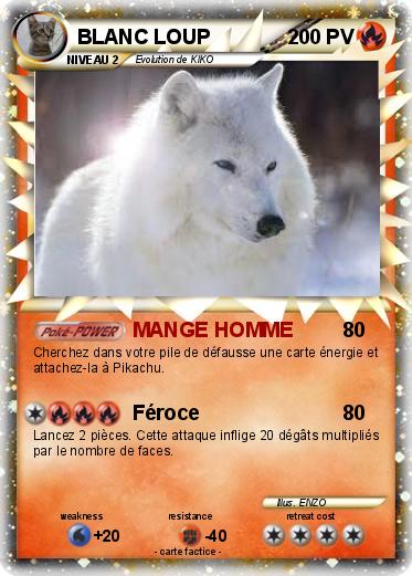 Pokemon BLANC LOUP