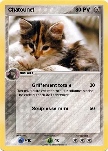 Pokemon Chatounet