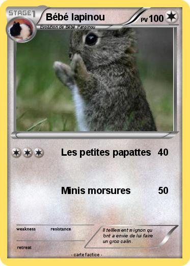 Pokemon Bébé lapinou
