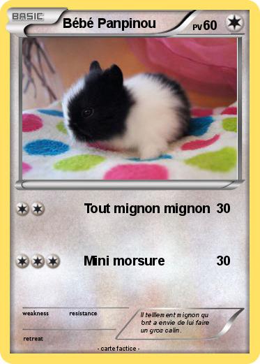 Pokemon Bébé Panpinou