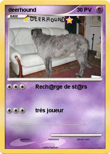 Pokemon deerhound
