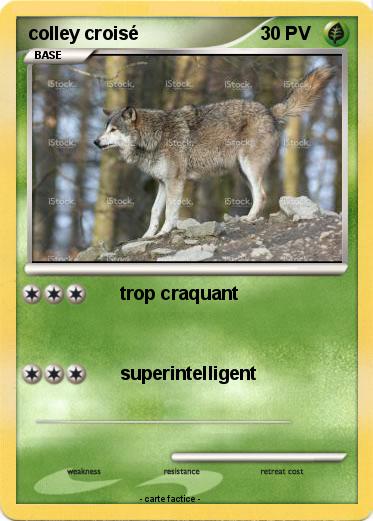 Pokemon colley croisé