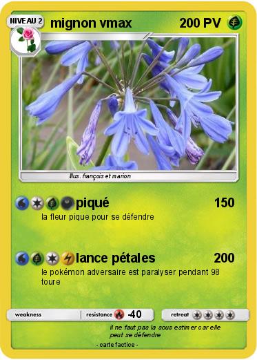 Pokemon mignon vmax